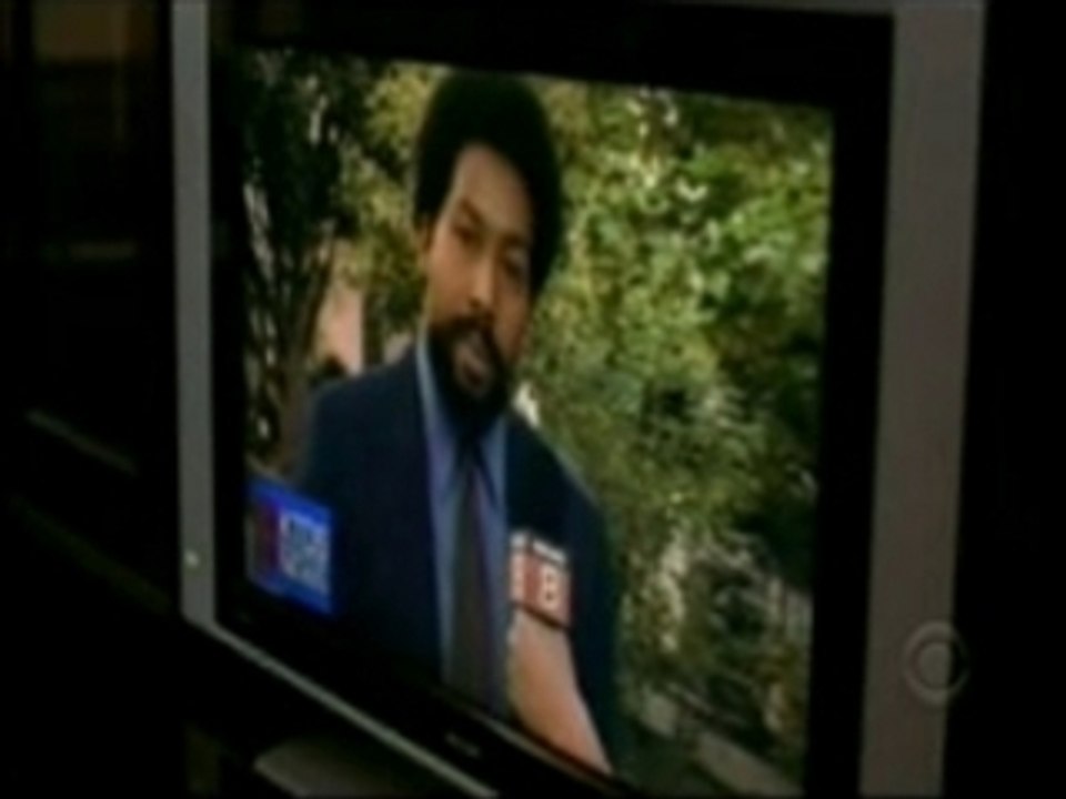 Mr. Wyatt on Shark