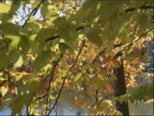 A PALAVRA AMIGA DO BISPO MACEDO - 14/10/2013