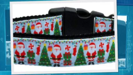 Nylon Dog Collars