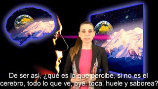 ¿Es Nuestro Cerebro Distinto del Mundo Exterior?