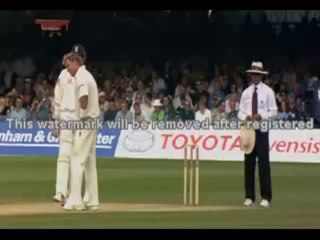 Aleem Dar vs Shane Warne