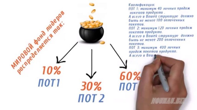 Маркетинг компании IQFORYOU Краткий обзор