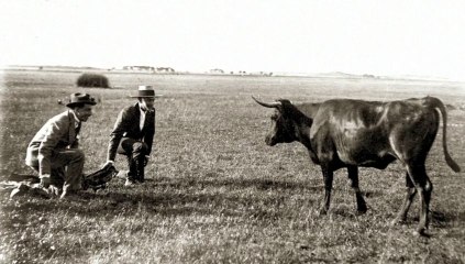 Un paseo por la muestra dedicada a Joselito y Belmonte
