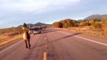 Motorcycle chased down highway by elk