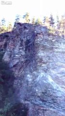 Plongeon  le plat du siècle