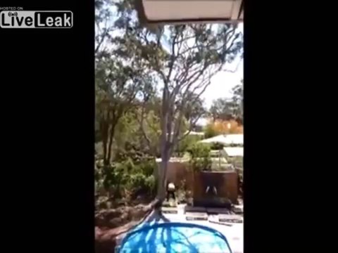 Régis coupe un arbre dans son jardin