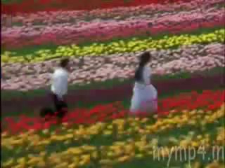 Bhanwre Ne Khilaya Phool -Prem Rog