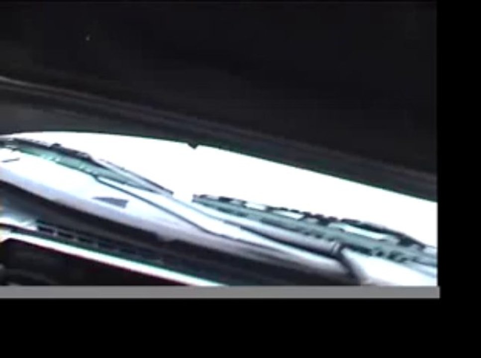 Un rossignol et un pic vert dans le moteur