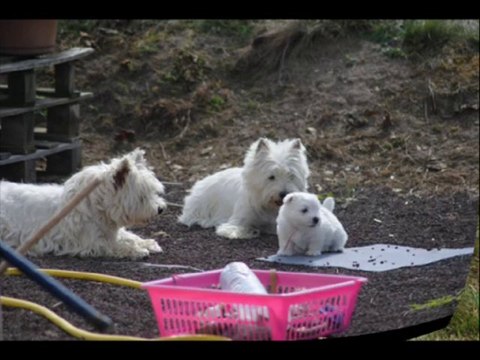 Bébés Epice -I- Août 2013 (2ème partie)