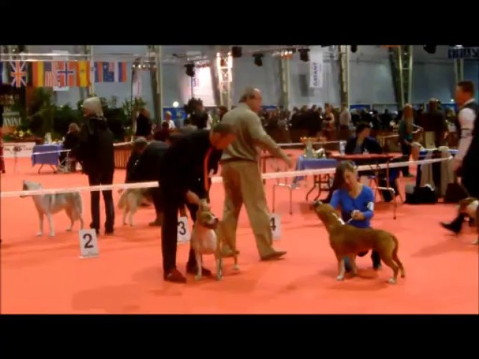 Full-Frame aux expositions Nationale & Internationale DOUAI