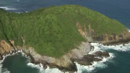 Ville de Trinité : Presqu'île de "La Caravelle" à Tartane