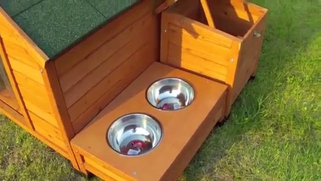 Pet Ramp | Free Shipping Products | Australia | Pets Gone Wild