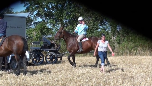 FETE DU CHEVAL DE TRAIT LA RONDEHAYE