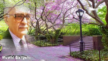 Bekir Sıdkı Sezgin ♫ Yüz yıl o güzel gözlere baksam yine kanmam.HD