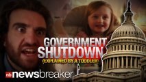 HILARIOUS: Government Shutdown Explained By Toddler Who Refuses to Eat Peas