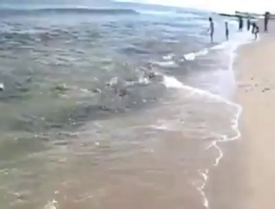 Lüfer Baskını Can Pazarı İzle ve Paylaş    15 Ekim 2013