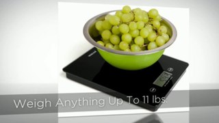 Digiscale Food Scale Sizzle Video