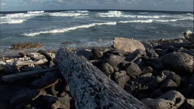 LES ESCLAVES OUBLIES DE L’ÎLE TROMELIN - extrait