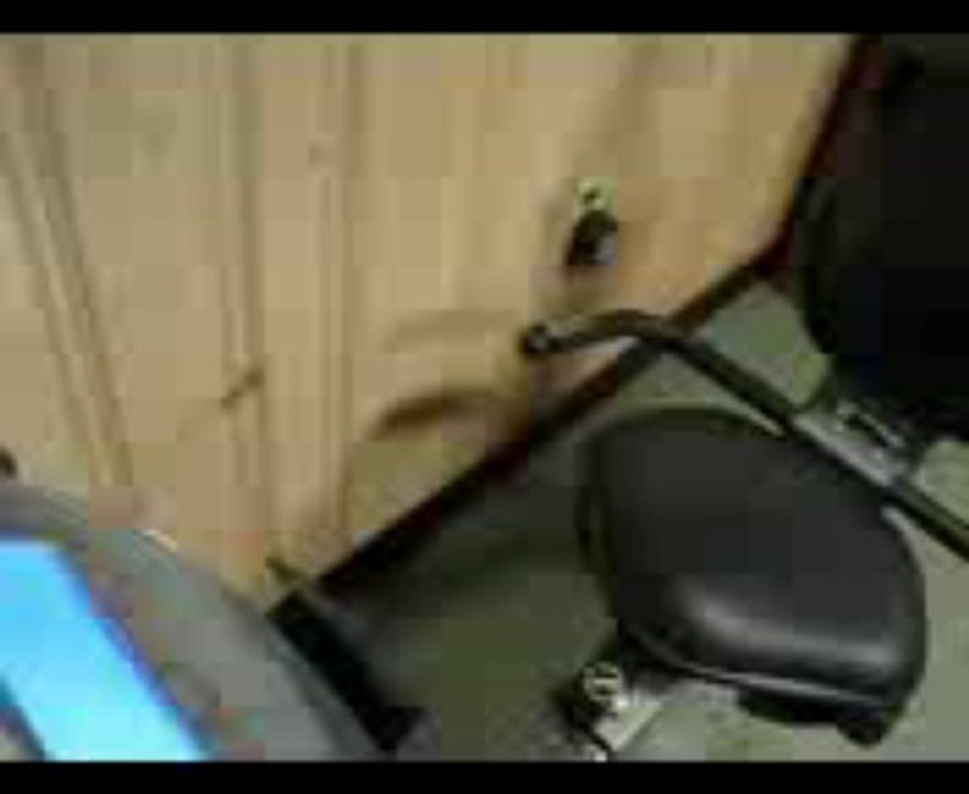 Schwinn recumbent exercise bike 213