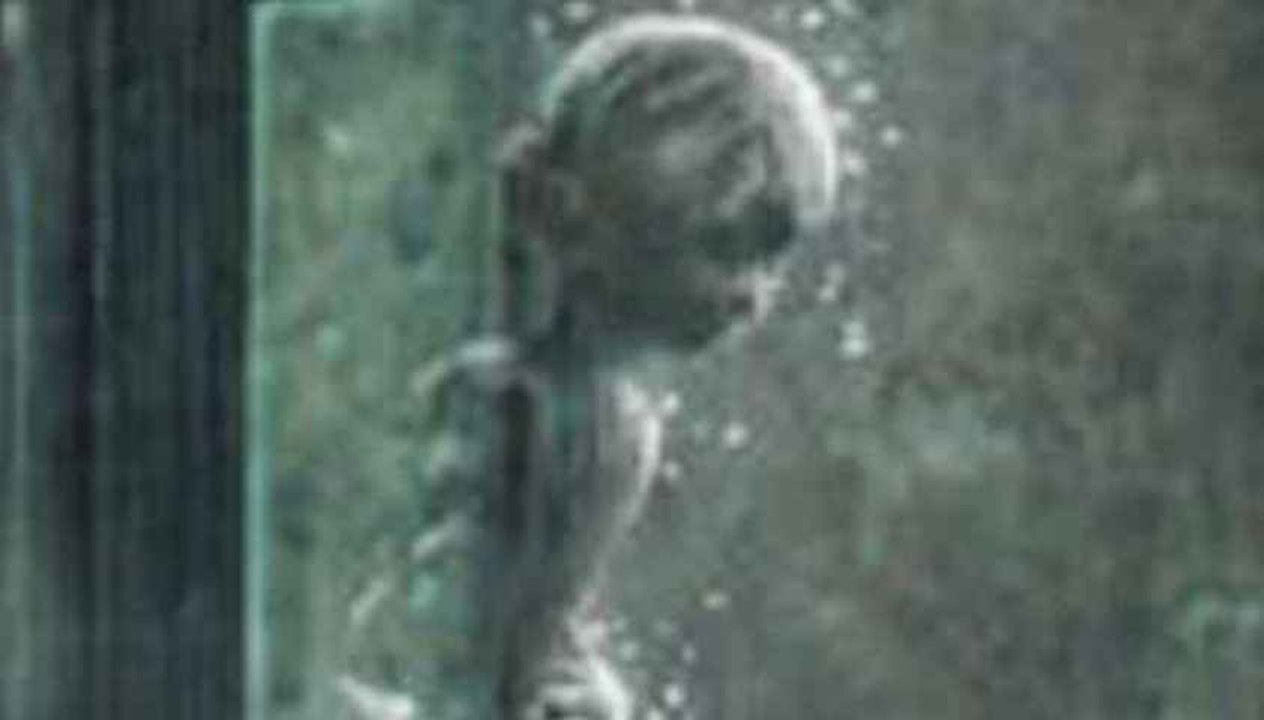RAIN / Part 3 / " Diversion "
