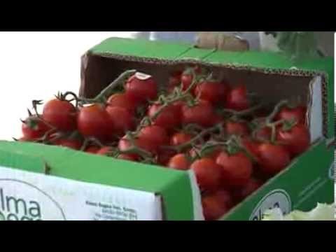 Campania - Terra dei Fuochi, i politici: I nostri prodotti sono buoni -2- (15.10.13)