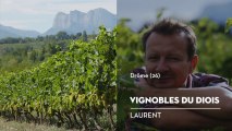 Vignobles du Diois, le coup de cœur de Laurent - Bienvenue chez vous !