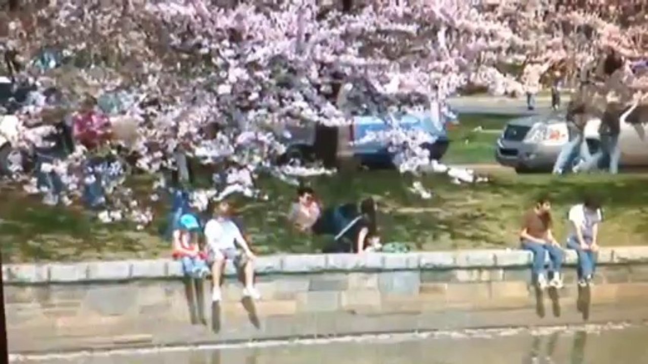 V's video from 15 October 2013 3:12 pm