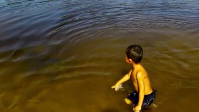 Des milliers de tortues attendues sur une plage au Mexique