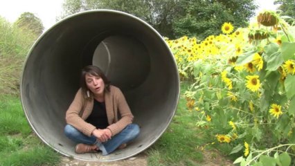 Los Jardines Sonoros de Francia