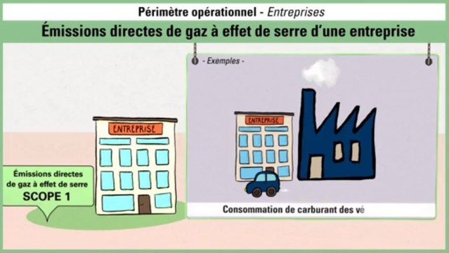 Périmètre opérationnel : cas des entreprises