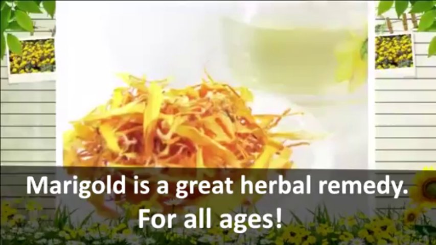 Marigold - Medicinal Tea from the past