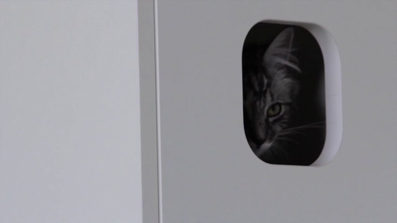 Katzenmöbel von FURniture smart living