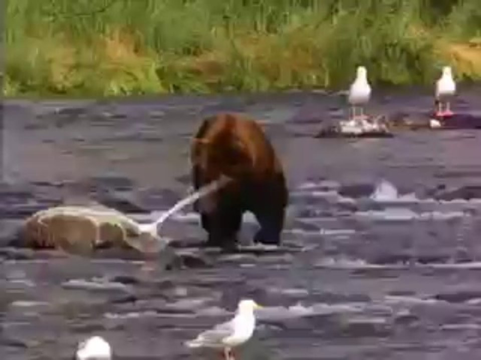 test video mp4 test video mp4