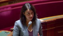 Politique du logement en milieu rural : Cécile Duflot répond à Michelle Demessine