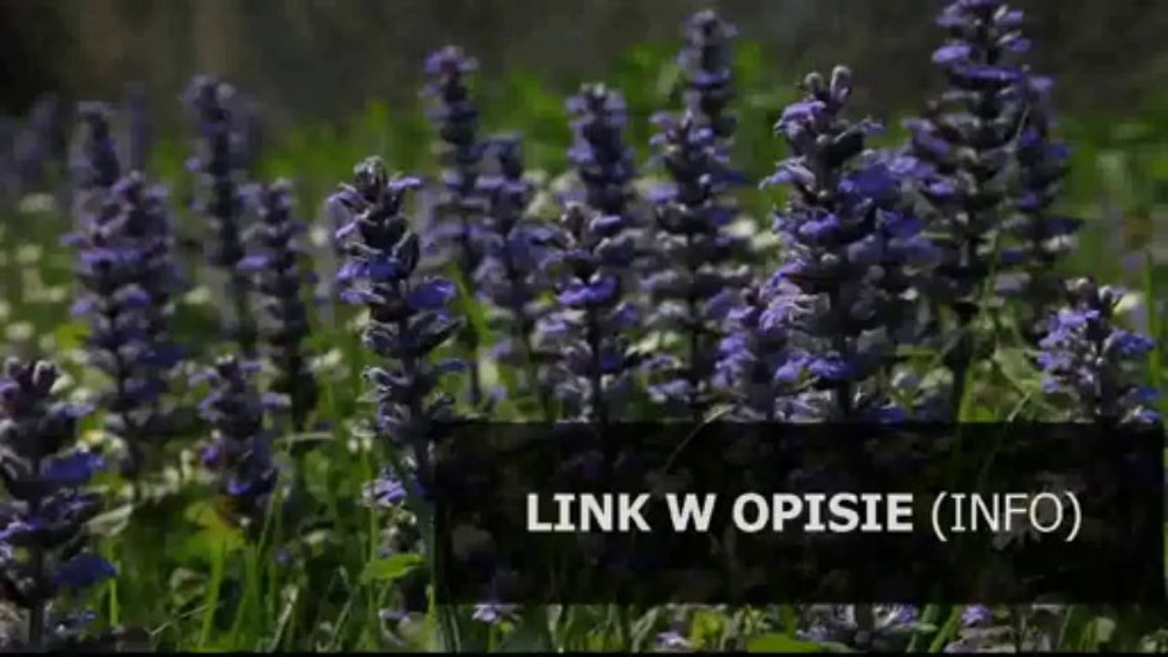 rozwiazania cwiczen nowa Planeta Nowa