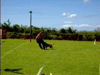 Pirate-garde au ferme