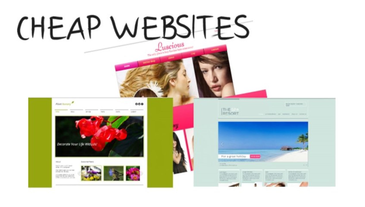Website DESIGN Northern Beaches - Better WEB designers in SYDNEY - WEB design that WORKS