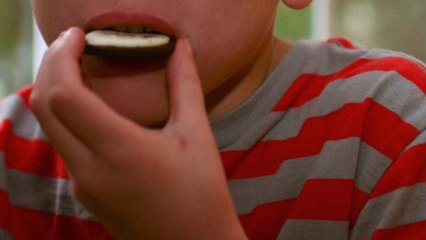 Oreos as Addictive as Cocaine According to Study