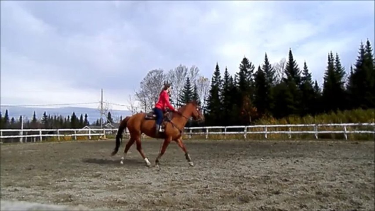 winnie calme
