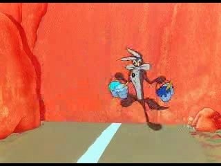 Road Runner