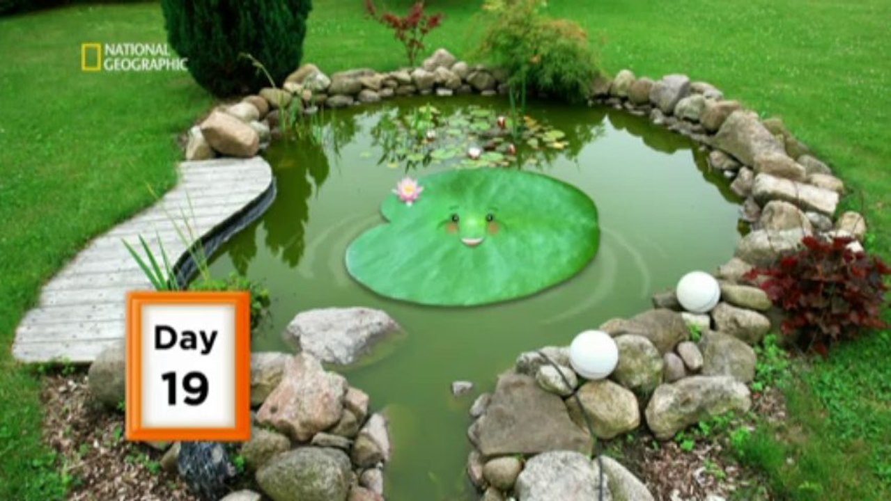 Ползваш или губиш