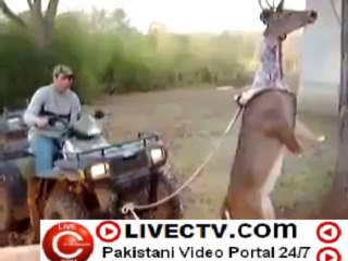 This Man is a Legend_(new) a new way of skinning