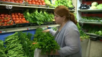 Köfte - carne molida con hierbas | Euromaxx