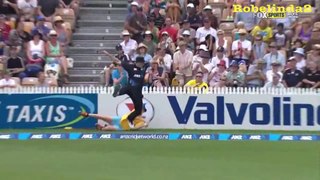 Astonishing catch by BALL BOY in cricket!!! - CricHeaven.com