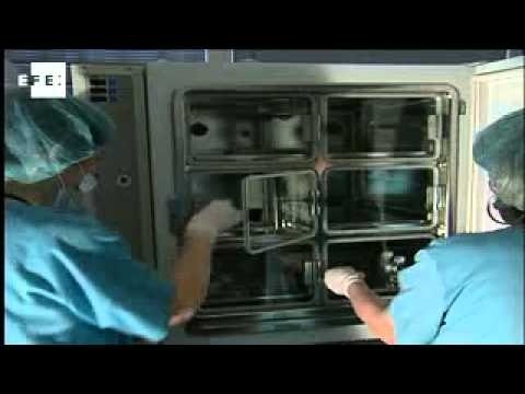 Anti-cancer gene fights obesity and increases longevity