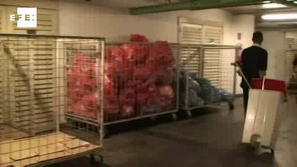 Uma aposta pela inteligência verde no coração de São Paulo