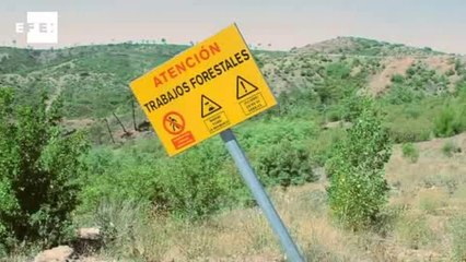 Siete años después del incendio, La Riba de Saelices hace del medio ambiente su tabla de salvación