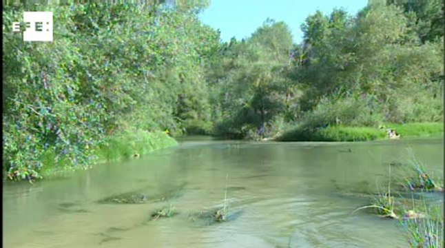 Las especies invasorasde almejas causan más daños ambientales que los incendios forestales