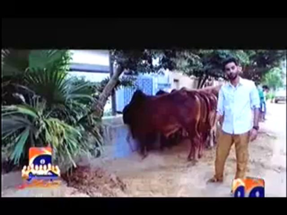 Geo Dost - 16th October 2013 (( 16 Oct  2013 ) Eid Special Show on Geo News