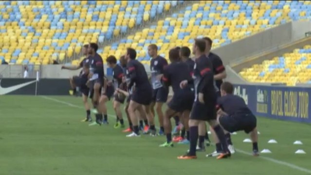 We are not favourites - Hodgson